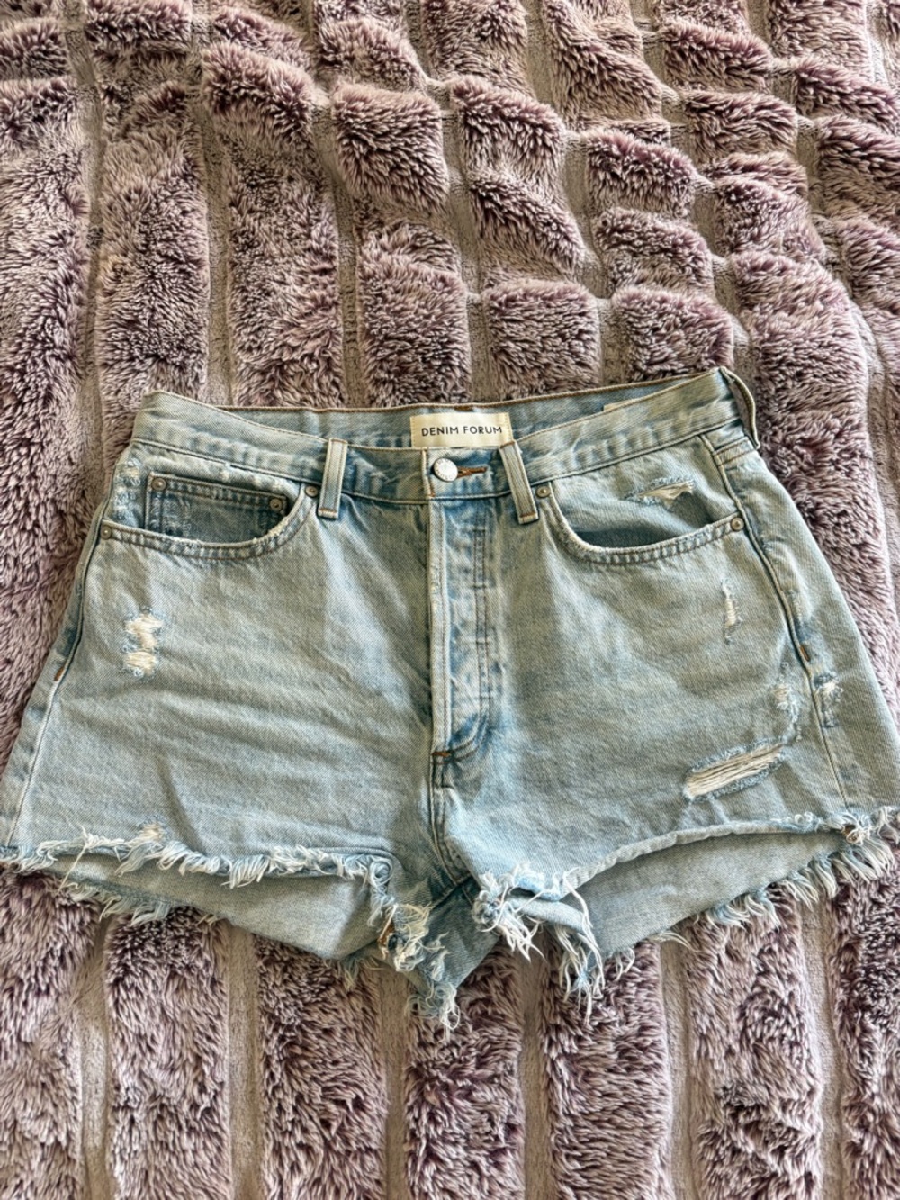 Aritzia Denim Forum “ The EX BF High Rise Denim Short”
